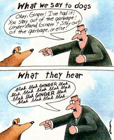 far-side-what-dogs-hear