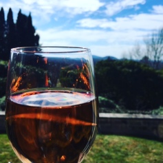 Rose with a view at Nineteen23 in Wentworth Falls.